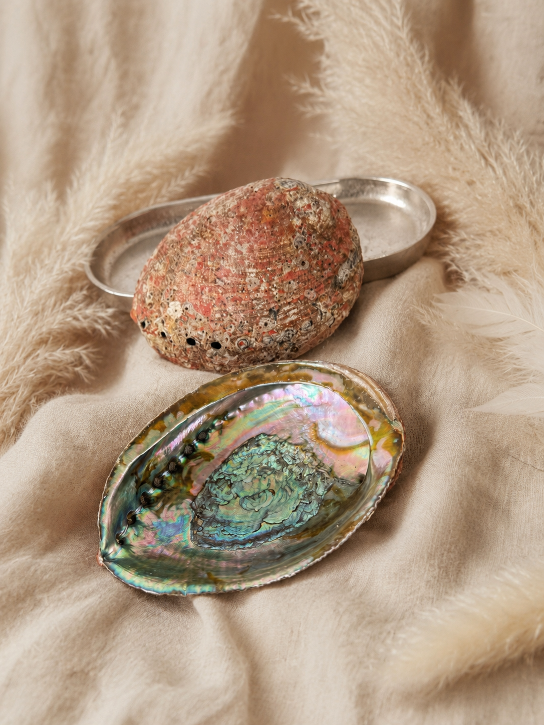 Abalone Räucherschale – natürliche Muschel für Räucherungen
